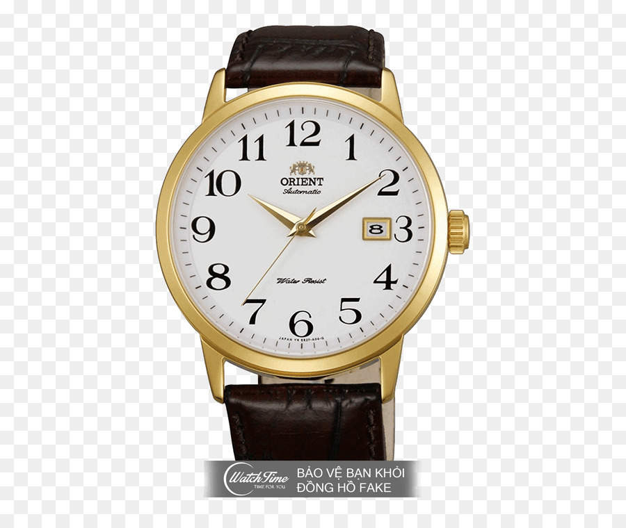 Orient Watch，Reloj PNG