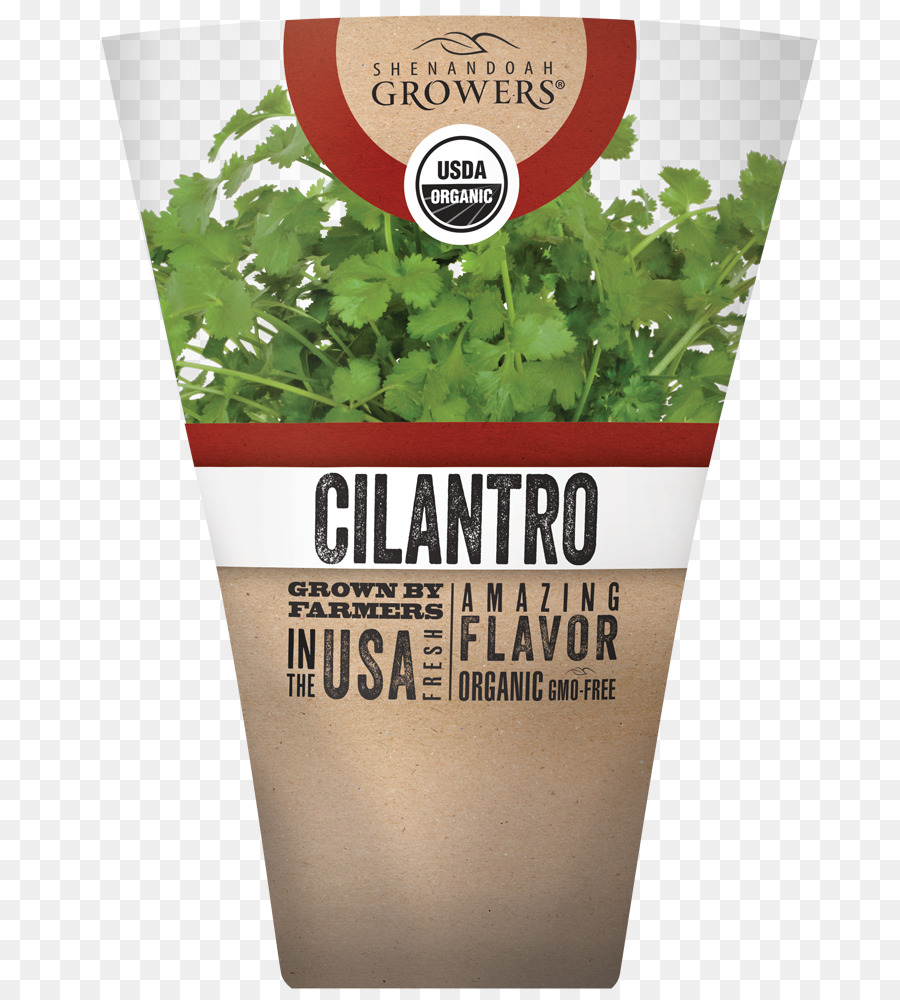 Hierba，Cilantro PNG