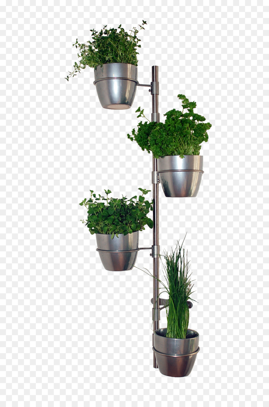 Maceta，Planta De Interior PNG