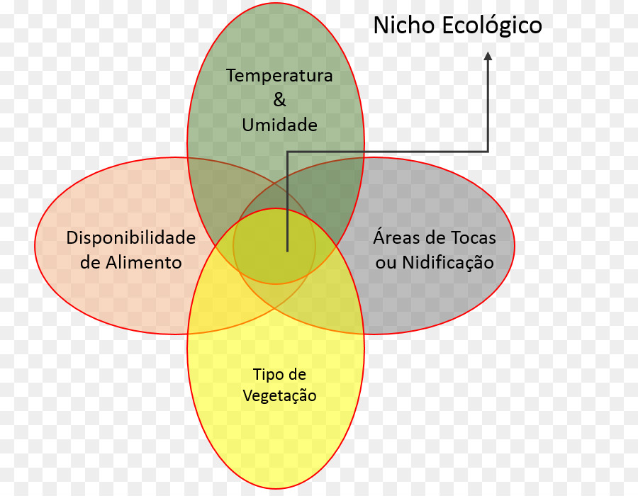 Nicho Ecológico，Ecología PNG