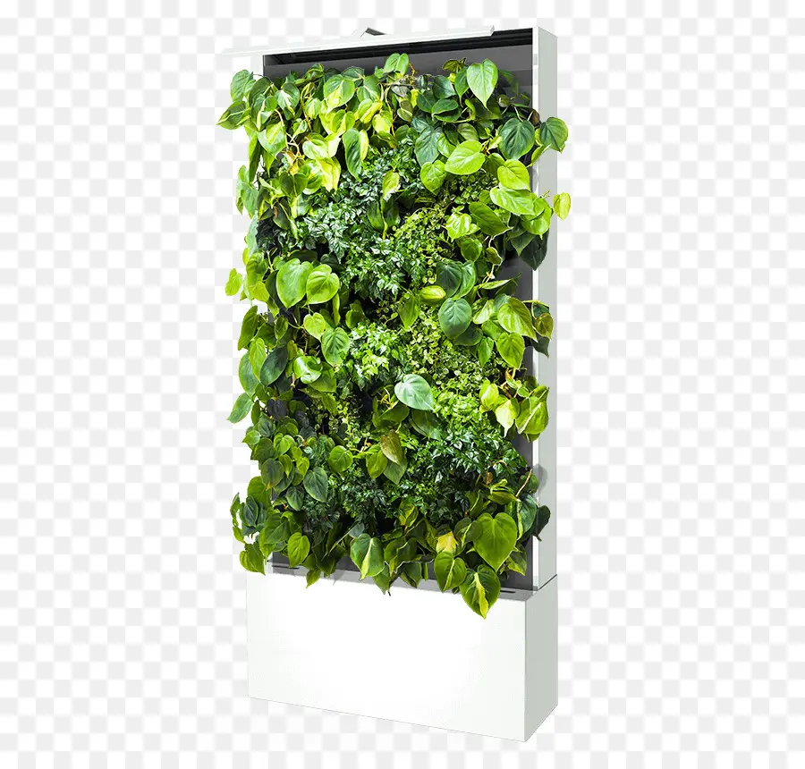 Jardín Vertical，Verdor PNG