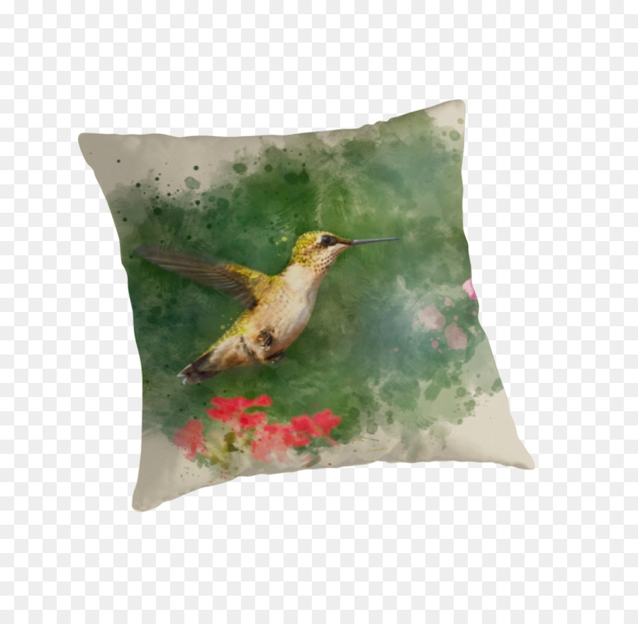 Colibrí，Almohadas PNG