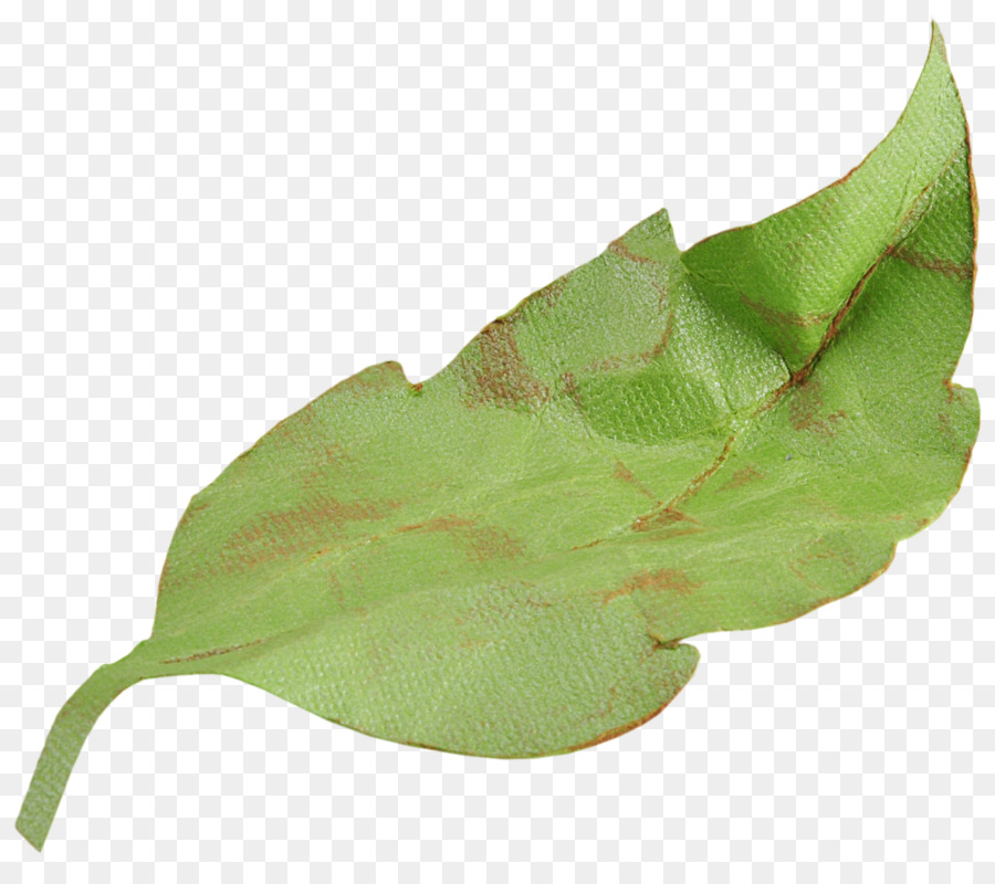 Verde，Color PNG