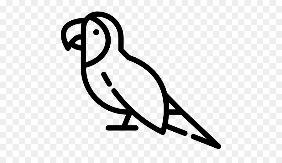 Pájaro Con Gusano，Animal PNG