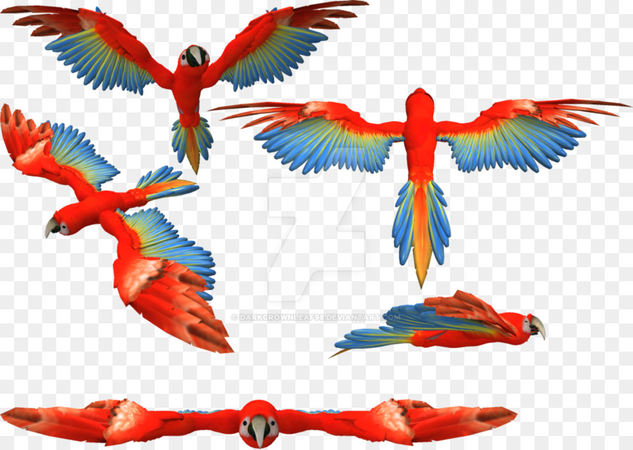 Guacamayo，Pluma PNG