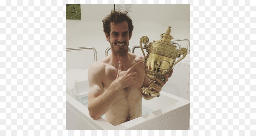 Baño De Hielo，2016 Campeonato De Wimbledon Hombres Solteros De PNG