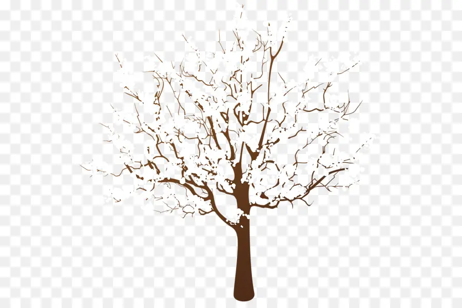 Árbol，Dibujo De árboles PNG