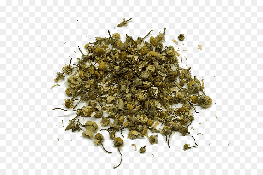 Té，Biluochun PNG