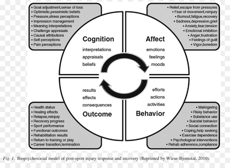 Modelo Biopsicosocial，Las Lesiones Deportivas PNG
