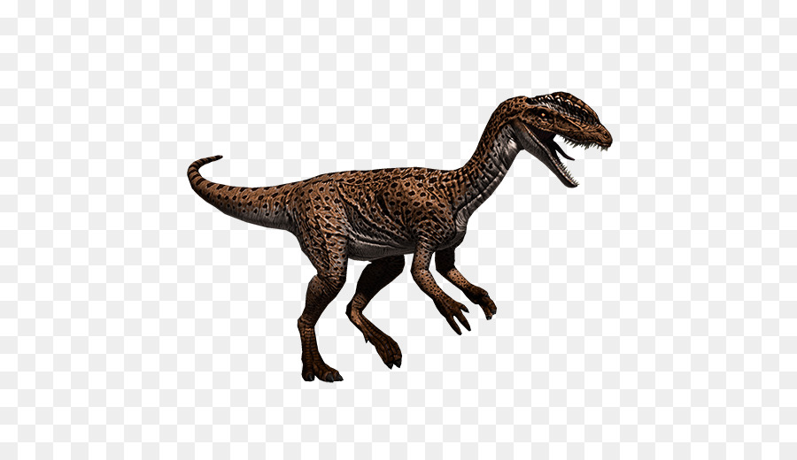 Velociraptor，Dilophosaurus PNG