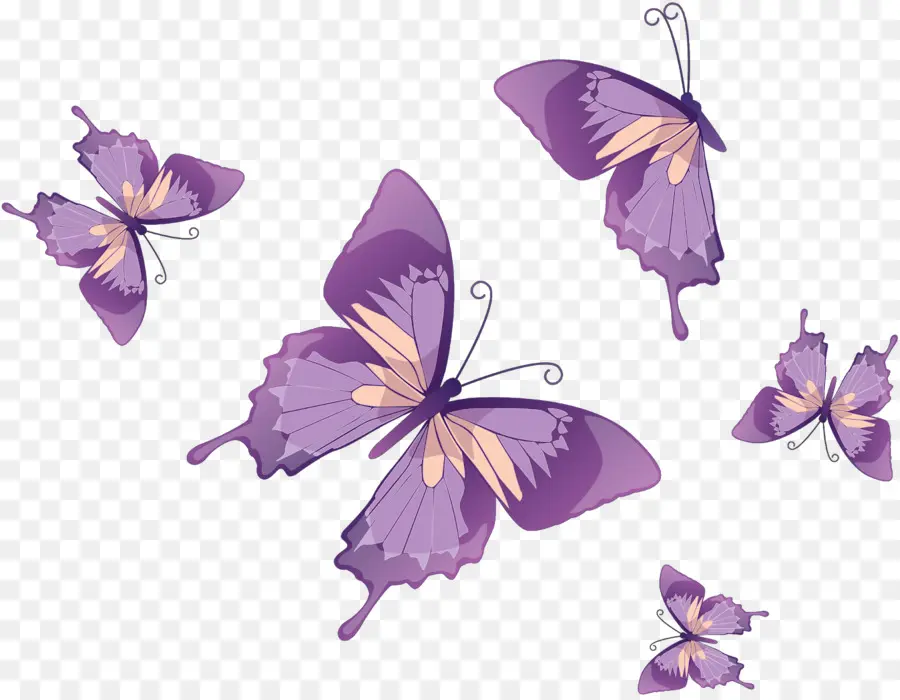 Mariposas Moradas，Vuelo PNG