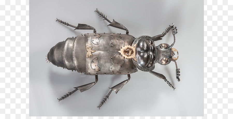 Insecto，Parásito PNG