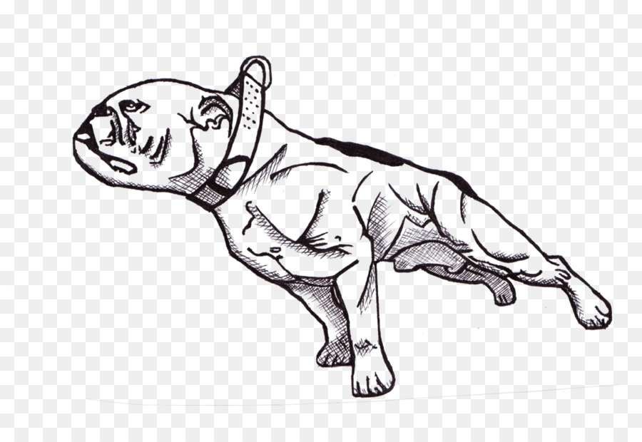 Caballo，Perro PNG