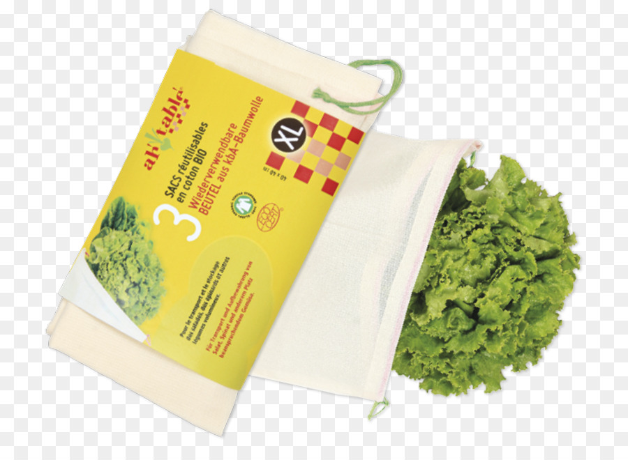 Papel，Hoja Vegetal PNG