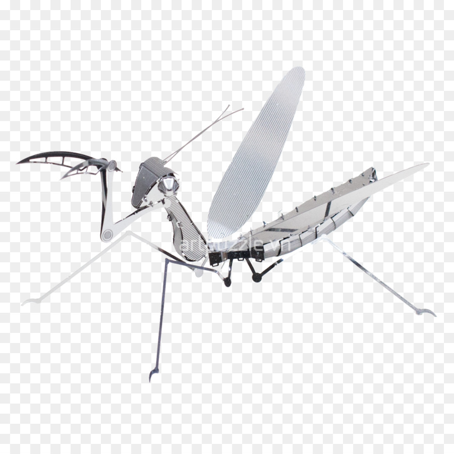 Mantis Robótica，Mantis PNG