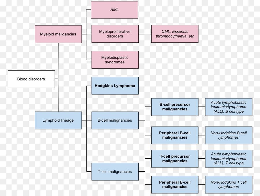 Diagrama De，Linfoma PNG