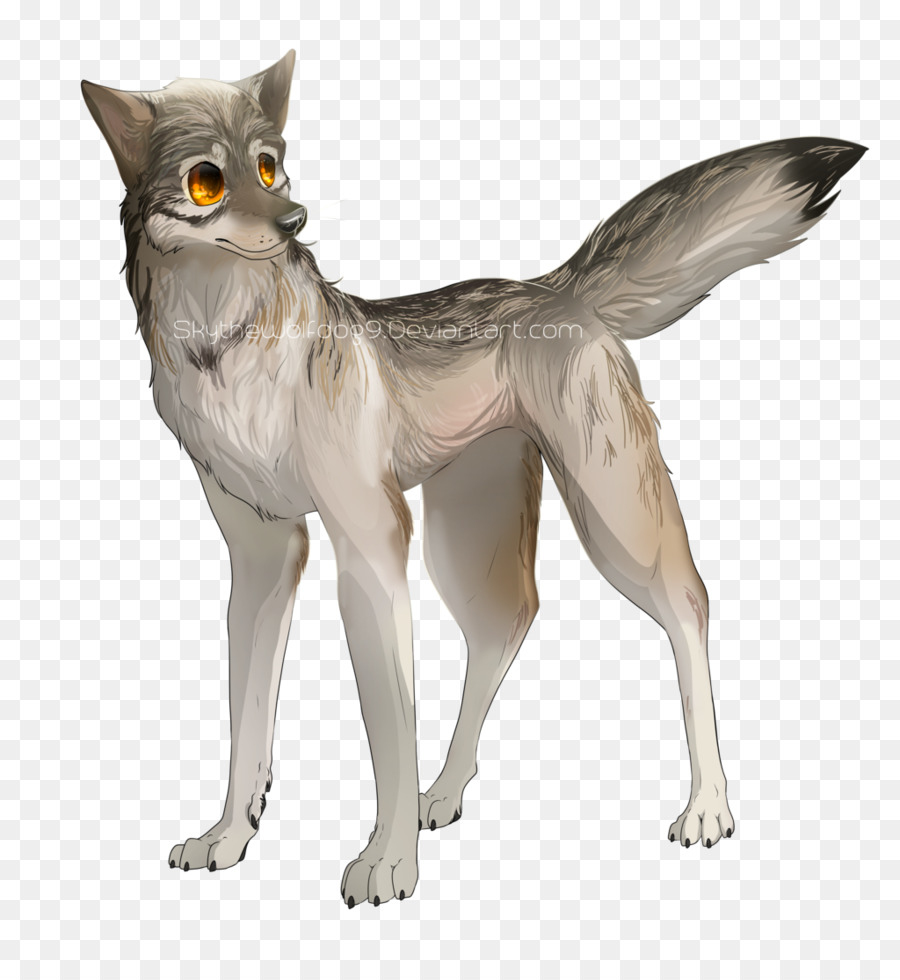 Gato，Lobo Gris PNG