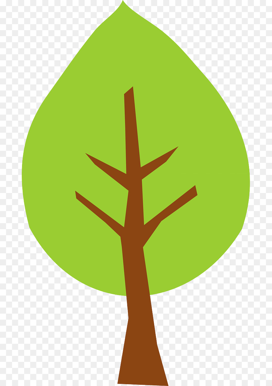 Árbol，Planta PNG