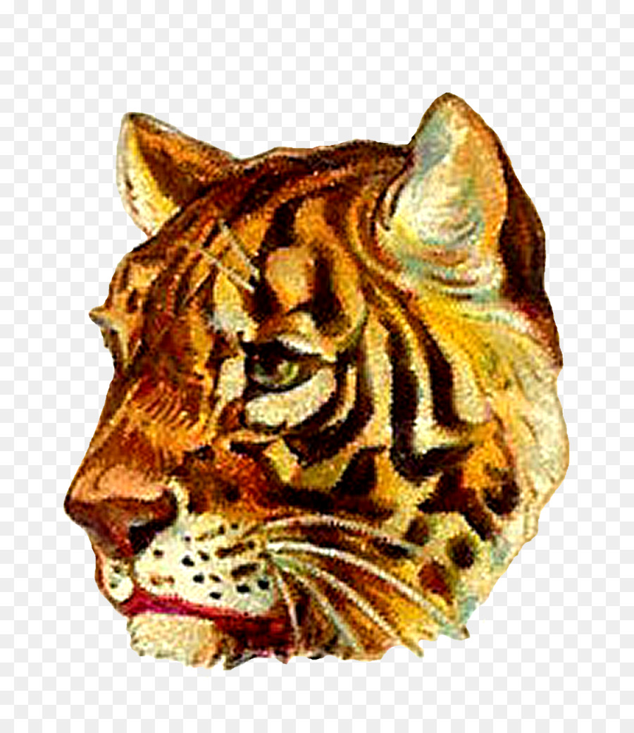 Tigre，León PNG