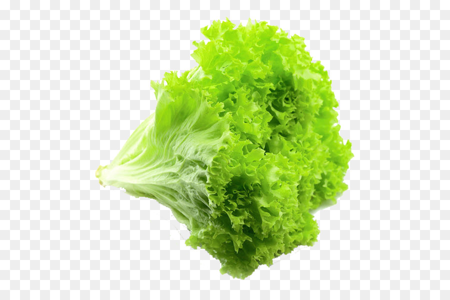 Lechuga，Verde PNG