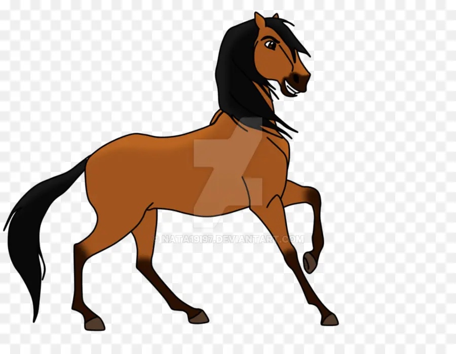 Caballo Marrón，Equino PNG