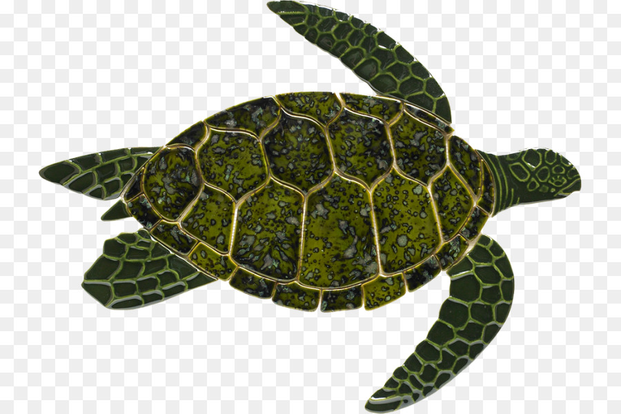 Tortuga，Tortuga De Mar PNG