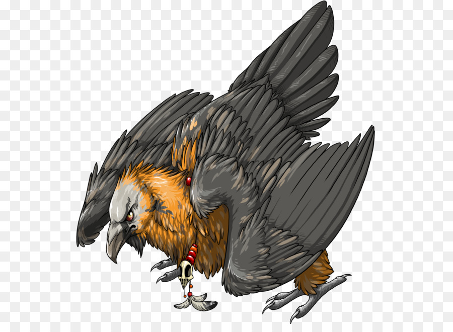 Buitre，Plumas PNG