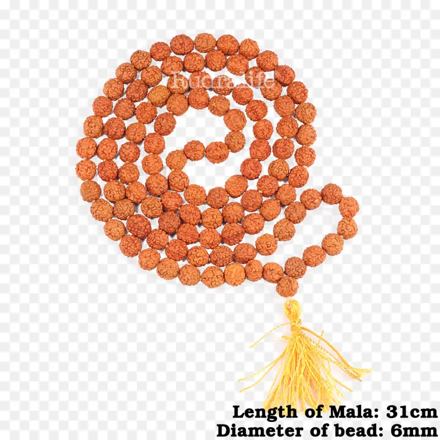 Oración Budista Perlas，Rudraksha PNG