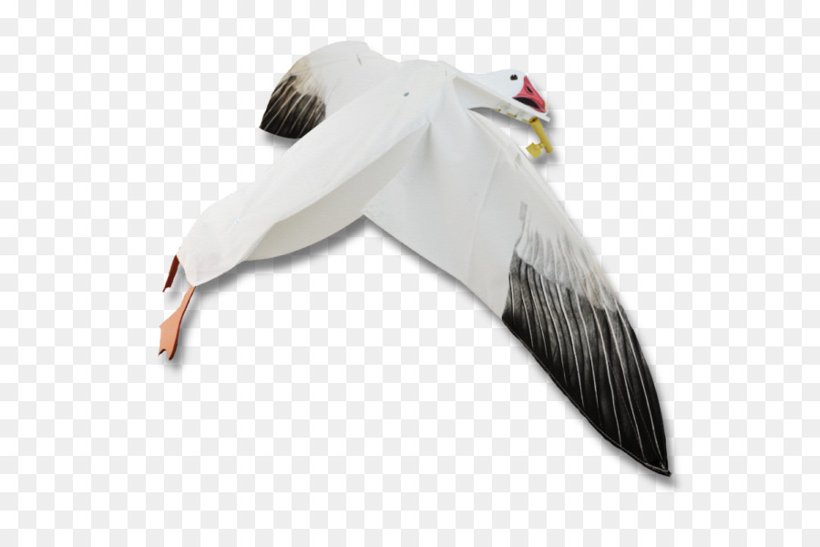 Ganso，Pato PNG