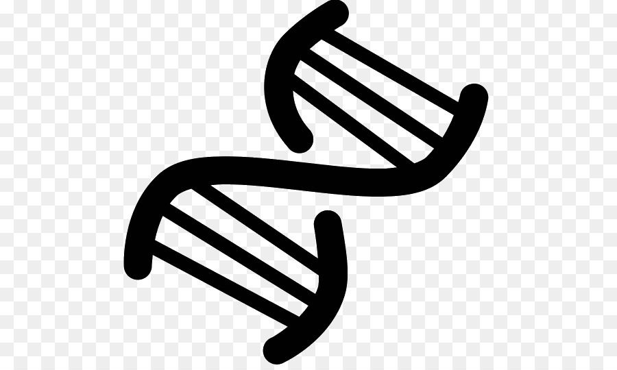 El ácido Nucleico De Doble Hélice，Iconos De Equipo PNG