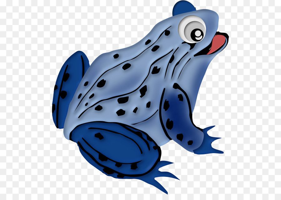 Rana，Blue Poison Dart Frog PNG