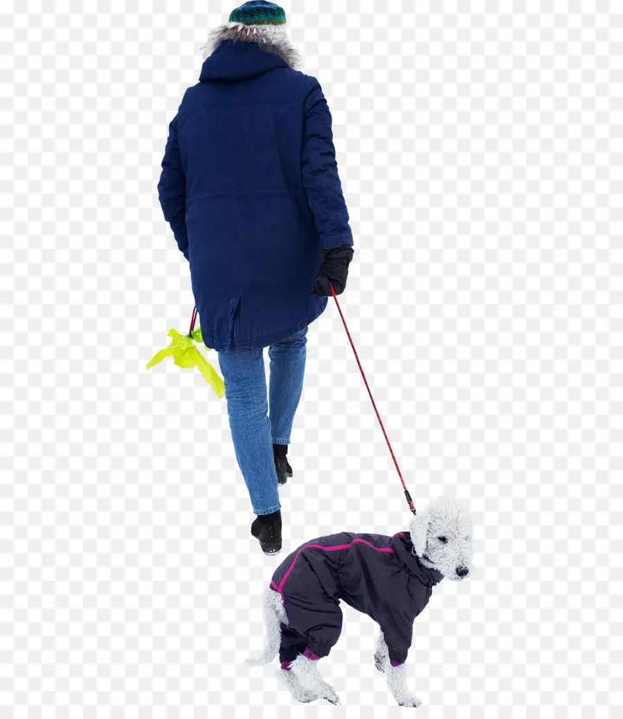 Perro，Pasear Al Perro PNG