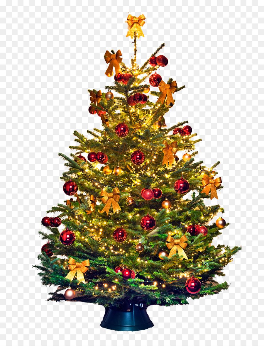 árbol De Navidad，La Navidad PNG