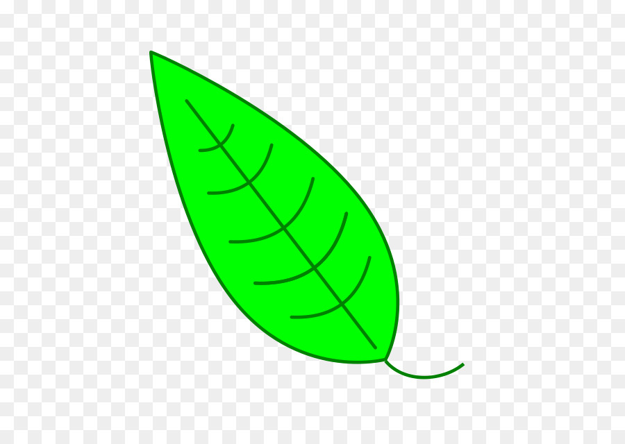 Hoja Verde，Planta PNG