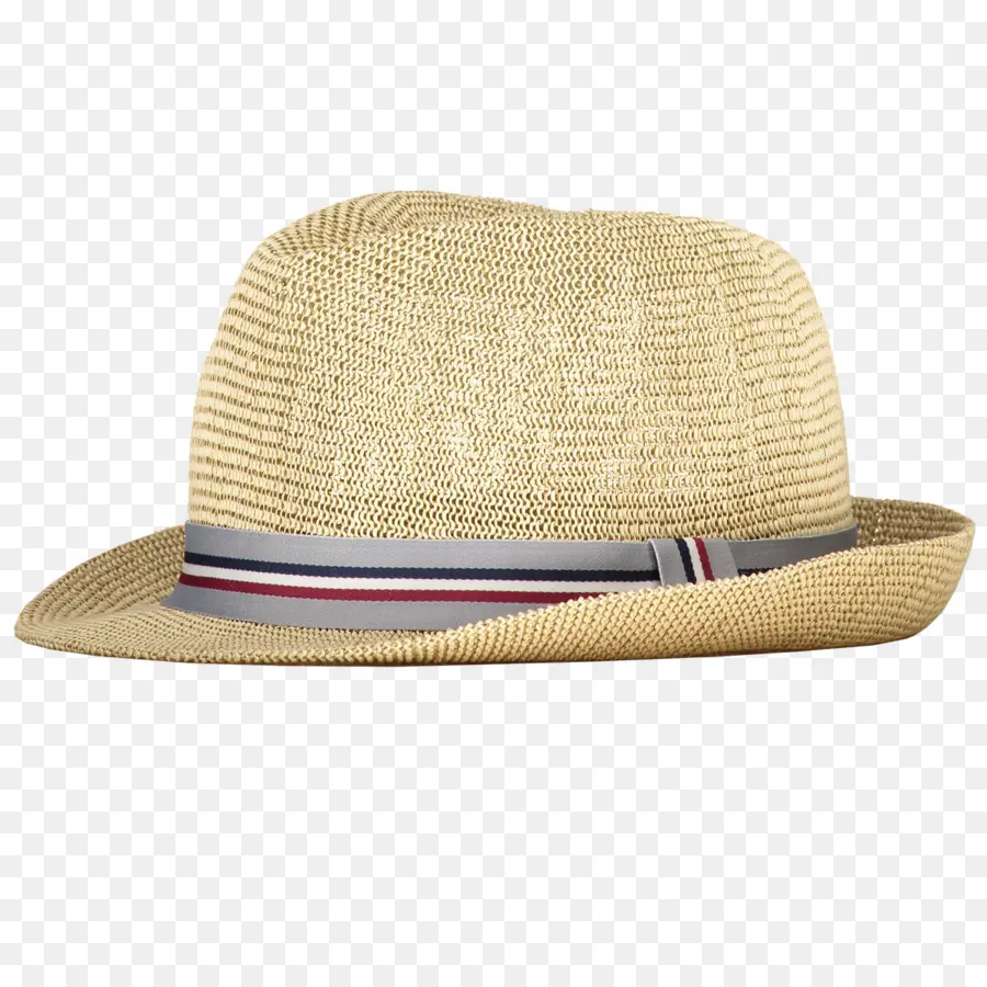 Fedora，Tapa PNG