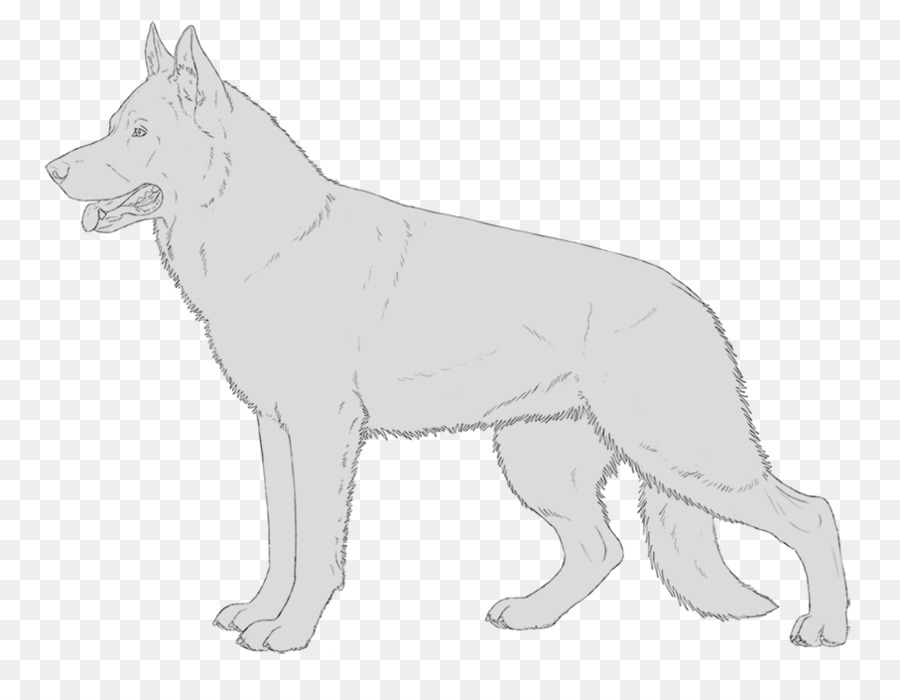 Saarloos Lobo，Raza De Perro PNG