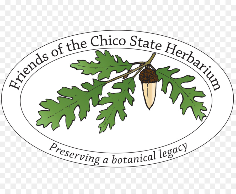 La Universidad Estatal De California Chico，Chico Estado De Herbario PNG