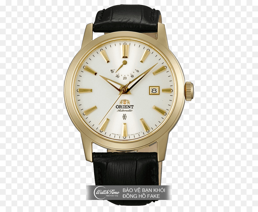 Orient Watch，Reloj PNG