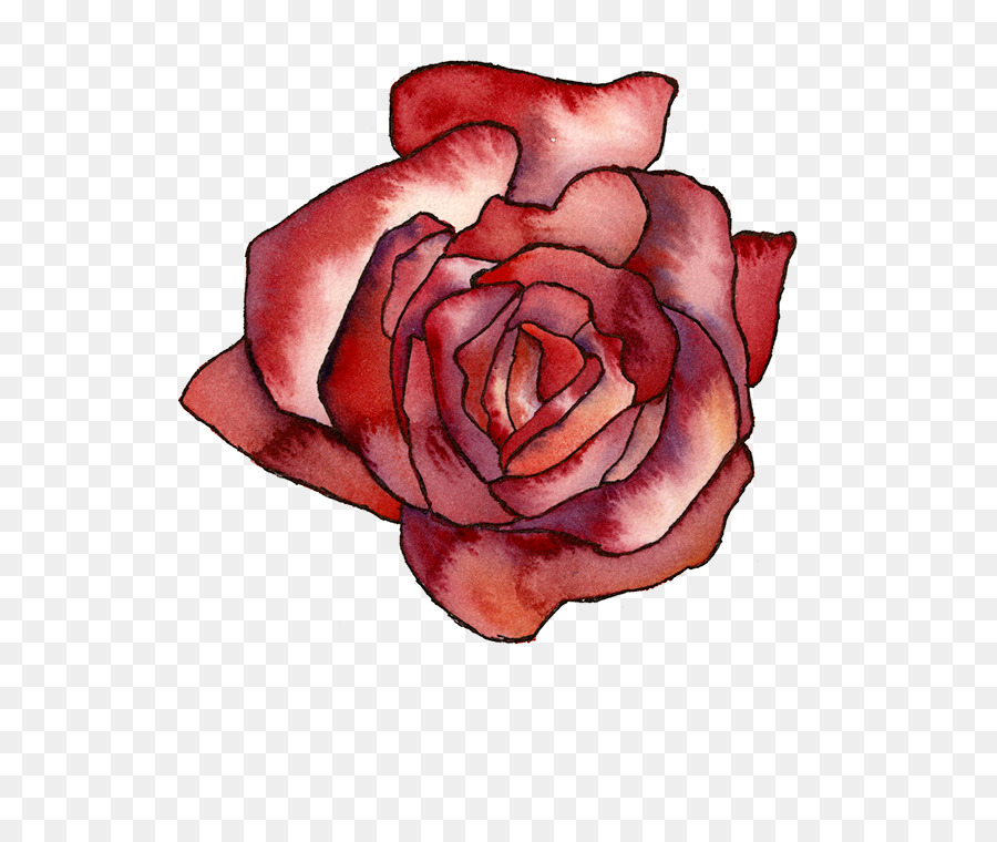 Rosa Rosa，Hojas Verdes PNG