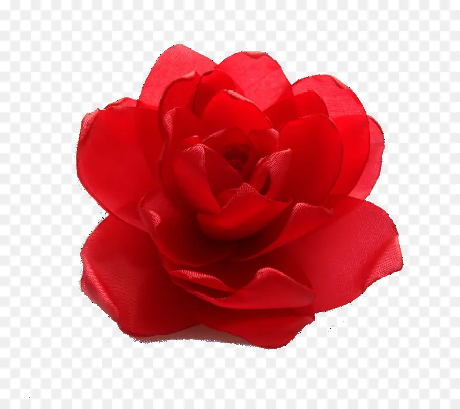 Flor Roja，Florecer PNG