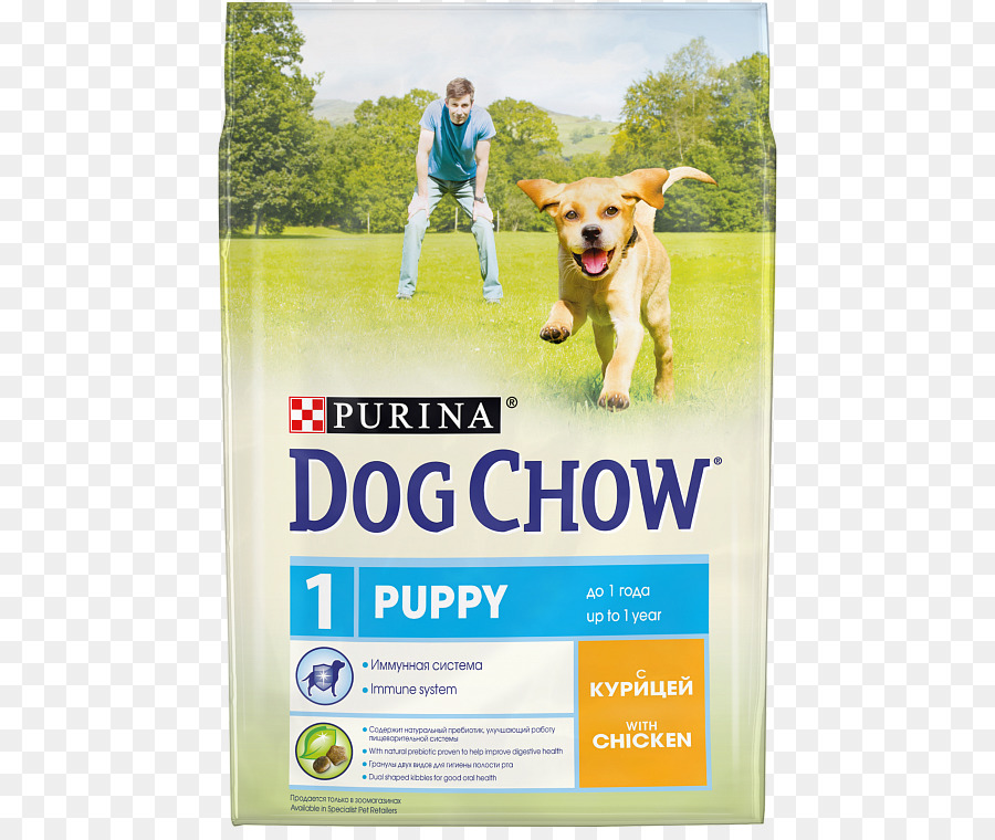 Cachorro，Perro Chow PNG