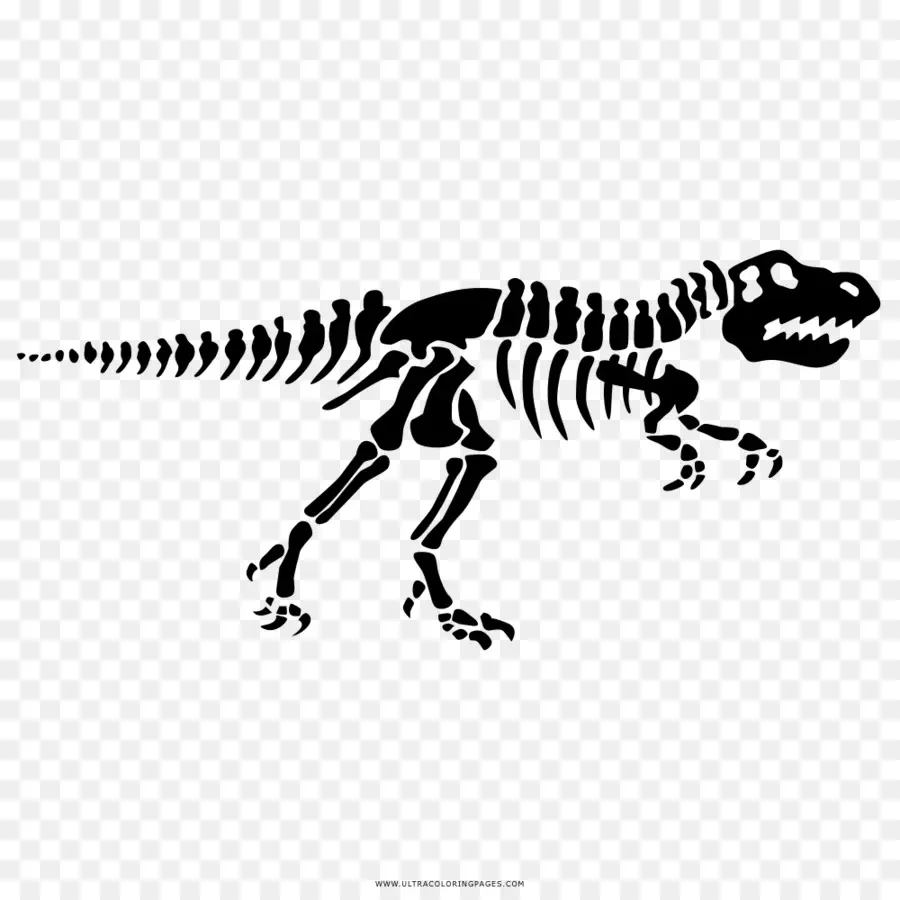 Huellas De Dinosaurios De La Reserva，Tyrannosaurus PNG