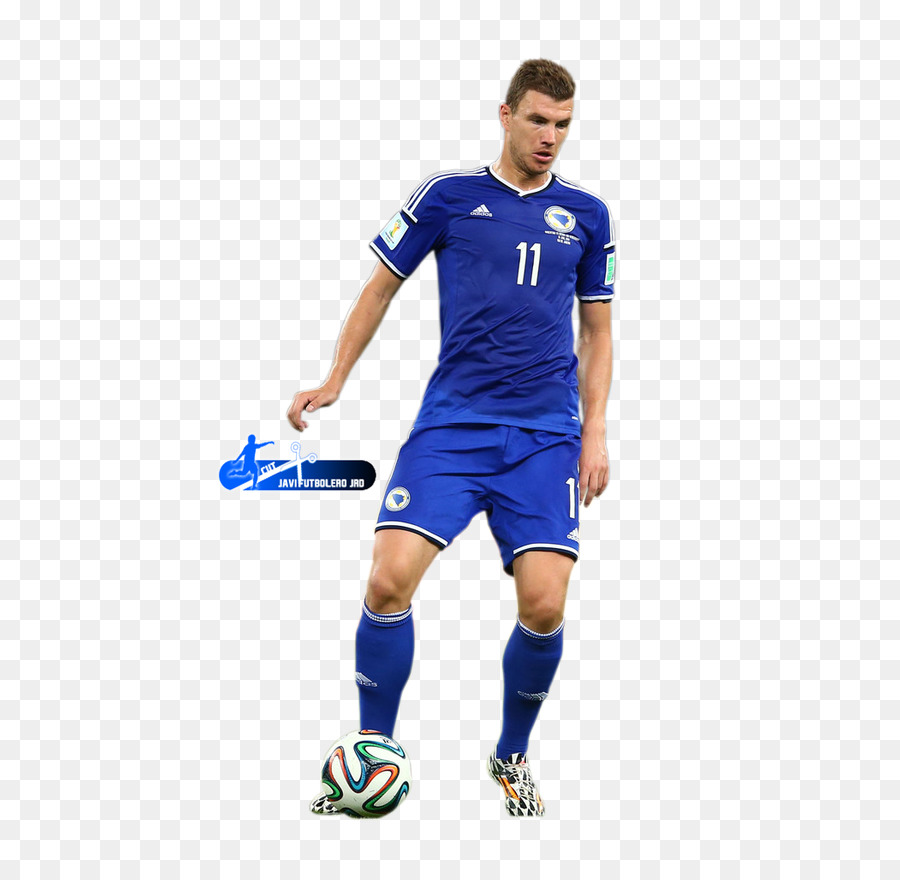 Equipo De Fútbol Nacional De Bosnia Y Herzegovina，Copa Mundial De La Fifa 2014 PNG