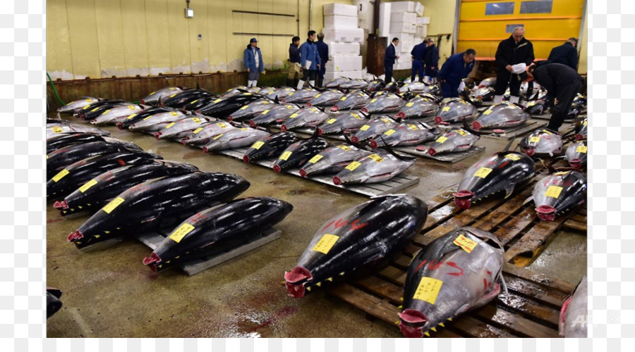 Mercado De Pescado De Tsukiji，Toyosu Mercado PNG