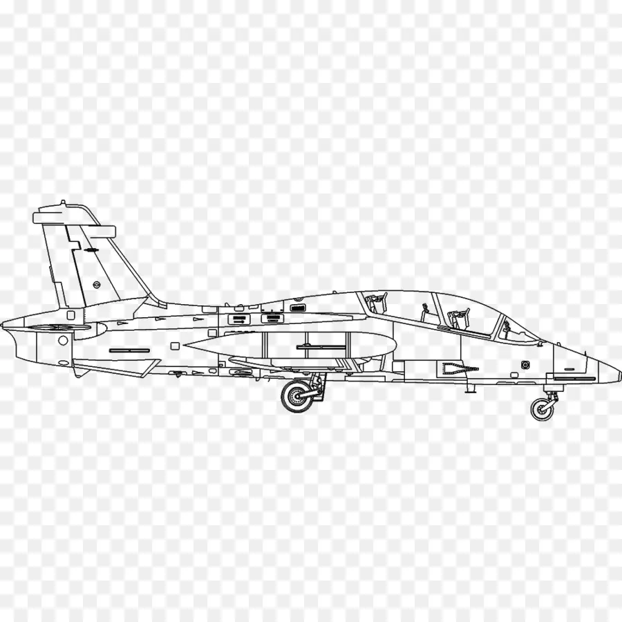 Grumman F14 Tomcat，La Aeronave PNG