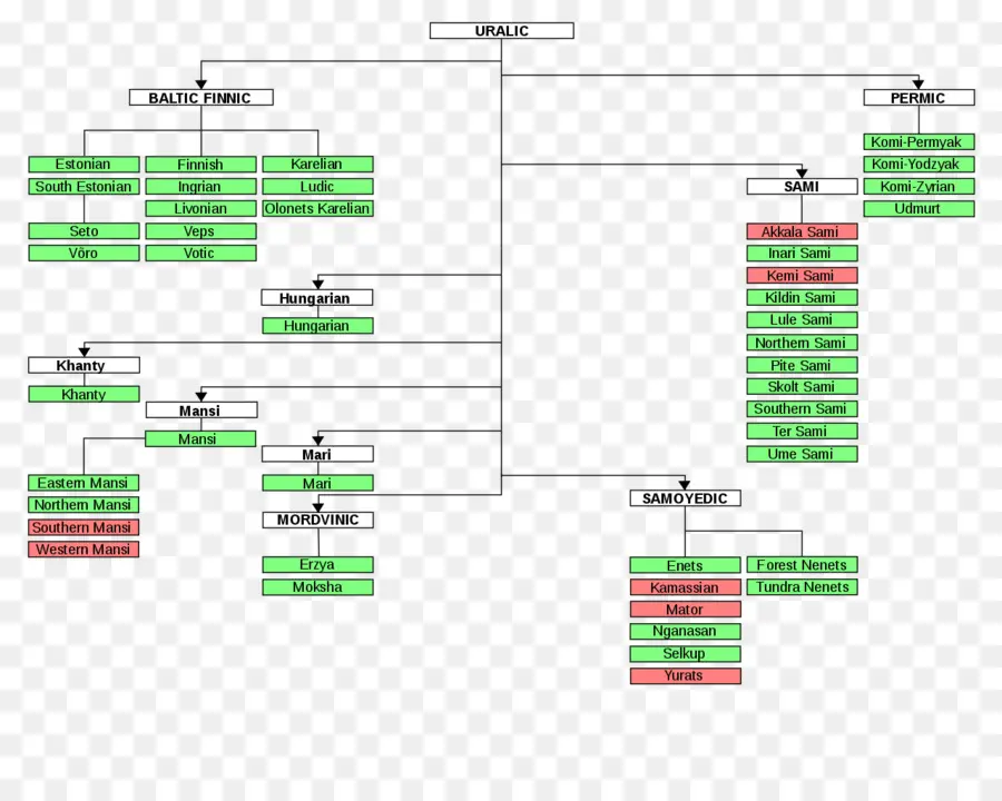 Árbol Genealógico De La Lengua Urálica，Idiomas PNG