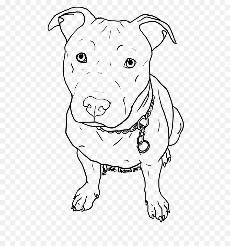 Pit Bull，American Pit Bull Terrier PNG