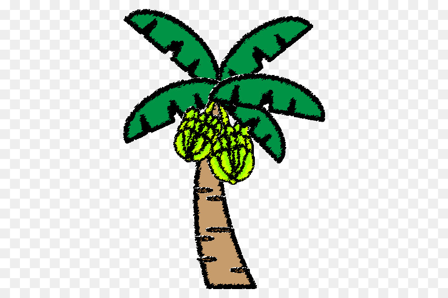 Arecaceae，Banano PNG