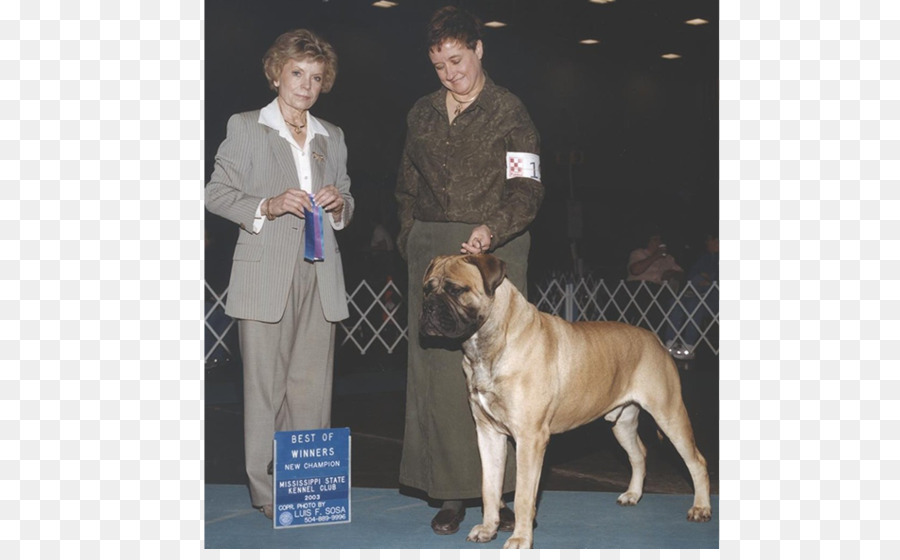 Gran Danés，Bullmastiff PNG