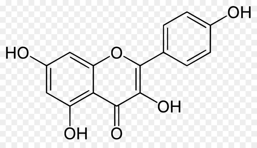 Flavonoide，Quercetina PNG